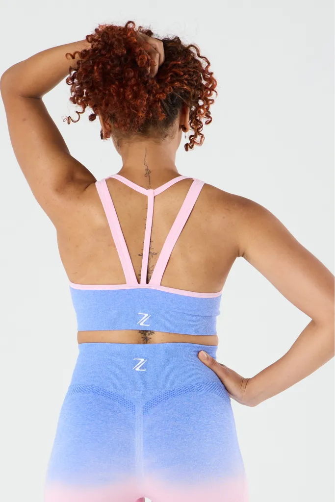 zleek ombre sport bra pink